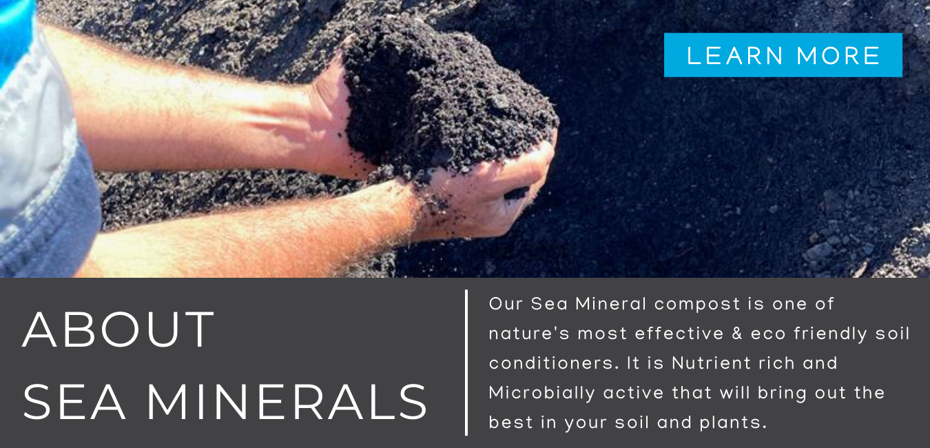 About our Sea Mineral compost, our sea mineral compost is one of natures most effective and eco friendly soil conditioners. It is nutrient rich and microbially active that will bring out the best in your soil and plants