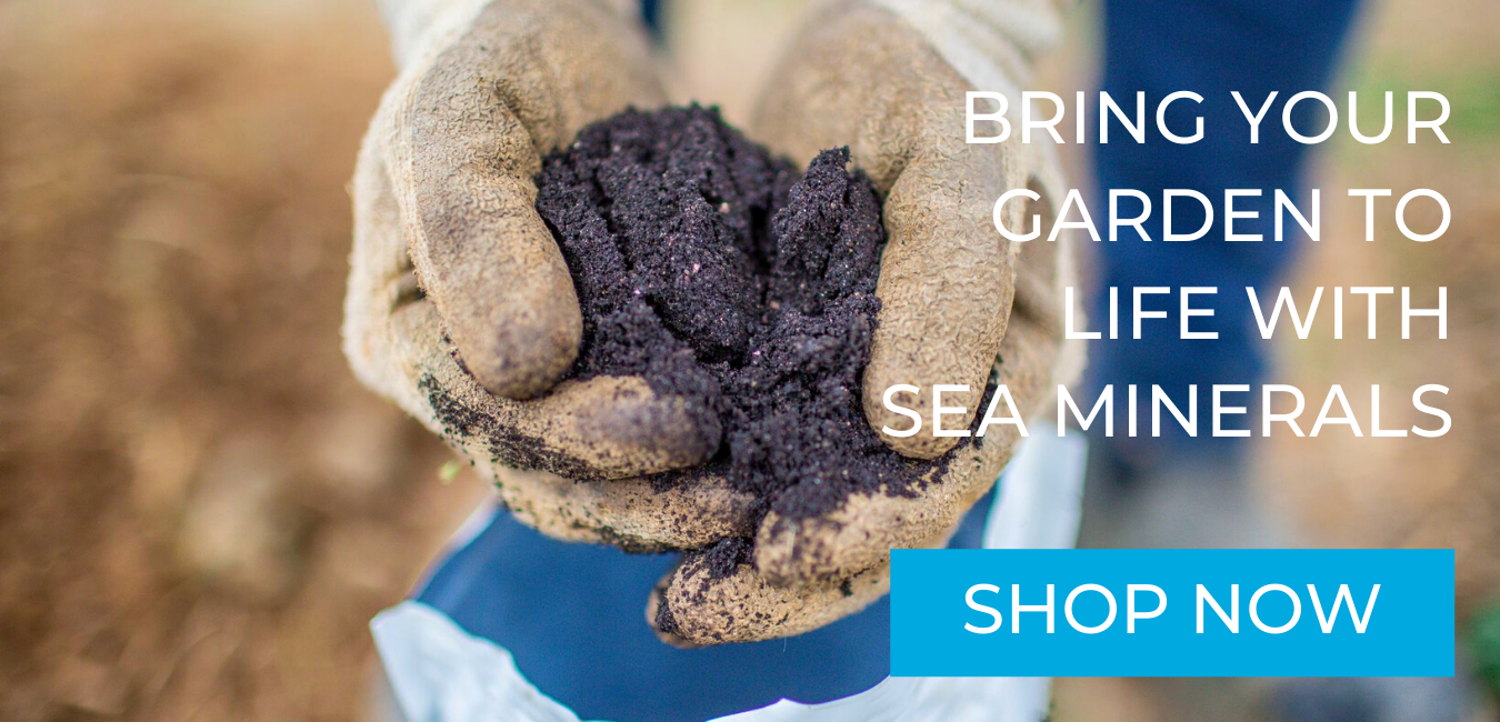 Bring your garden to life with sea mineral compost from Ocean2Earth Australia