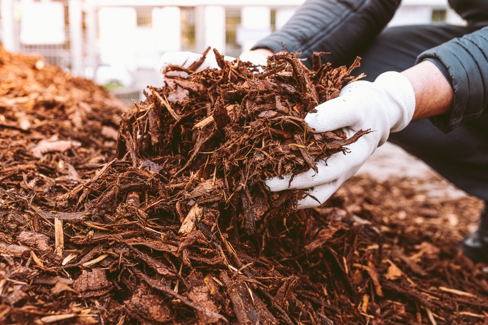 Mulch is a Must! Ocean2Earth Australia