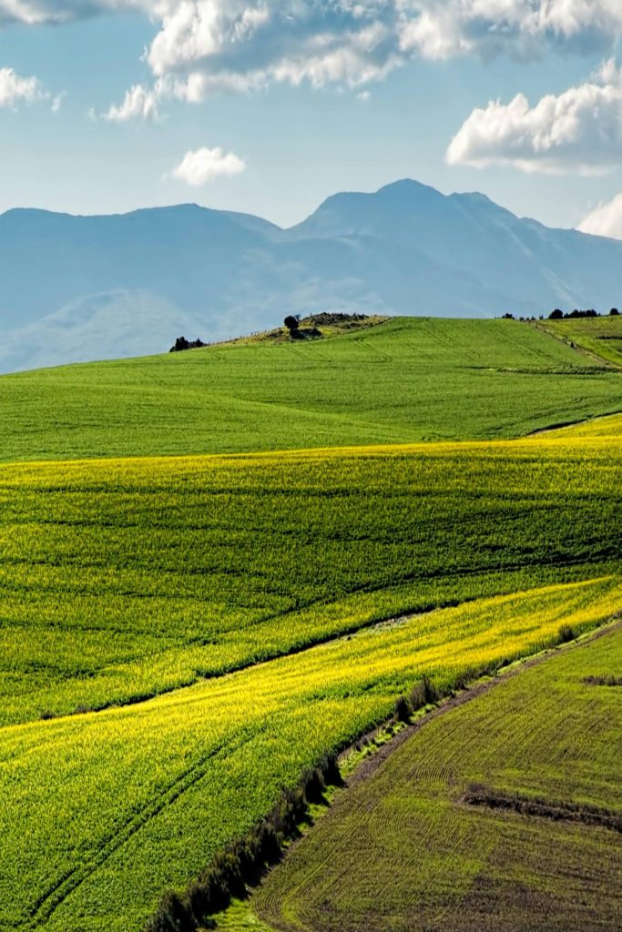 1 Ocean2Earth agricultural