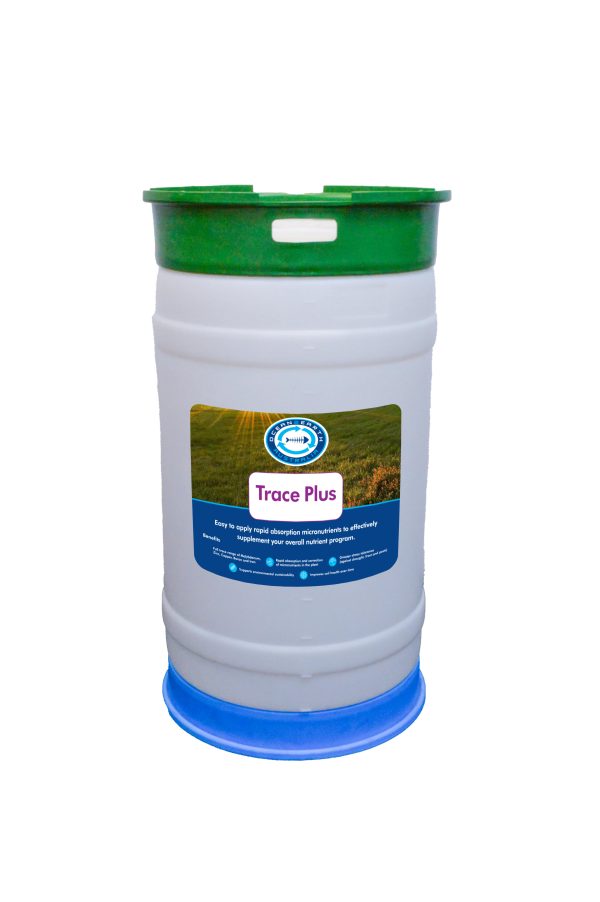 Trace Plus Drum Ocean2Earth