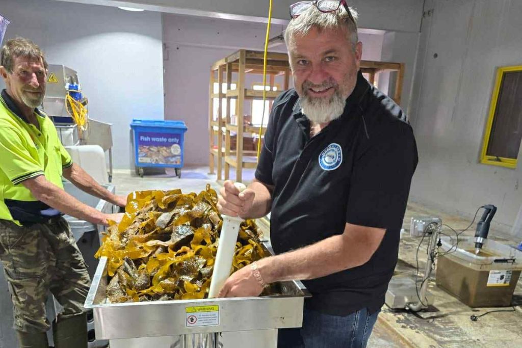 seakelp (1) We were thrilled to stand alongside our partners at Bega Circular Valley, the @marinebioproductscrc , and @Auskelp to sign a Memorandum of Understanding. This MOU formalises our shared vision: to build a new, innovative blue-green industry right here in the Bega Valley. Together, we’re collaborating to scale up kelp farming, processing, and the manufacturing of marine-based biostimulants. It’s all about advancing more sustainable and regenerative farming practices by harnessing the power of the ocean.