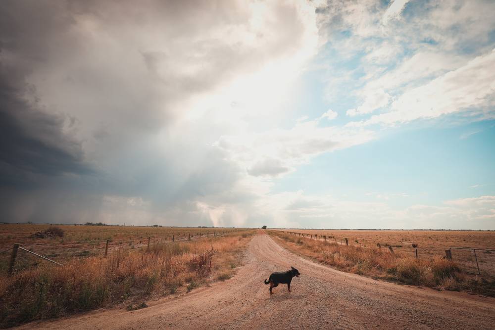 O2E_14672466891 How Soil Biology Builds Resilience to Australia's Weather Extremes